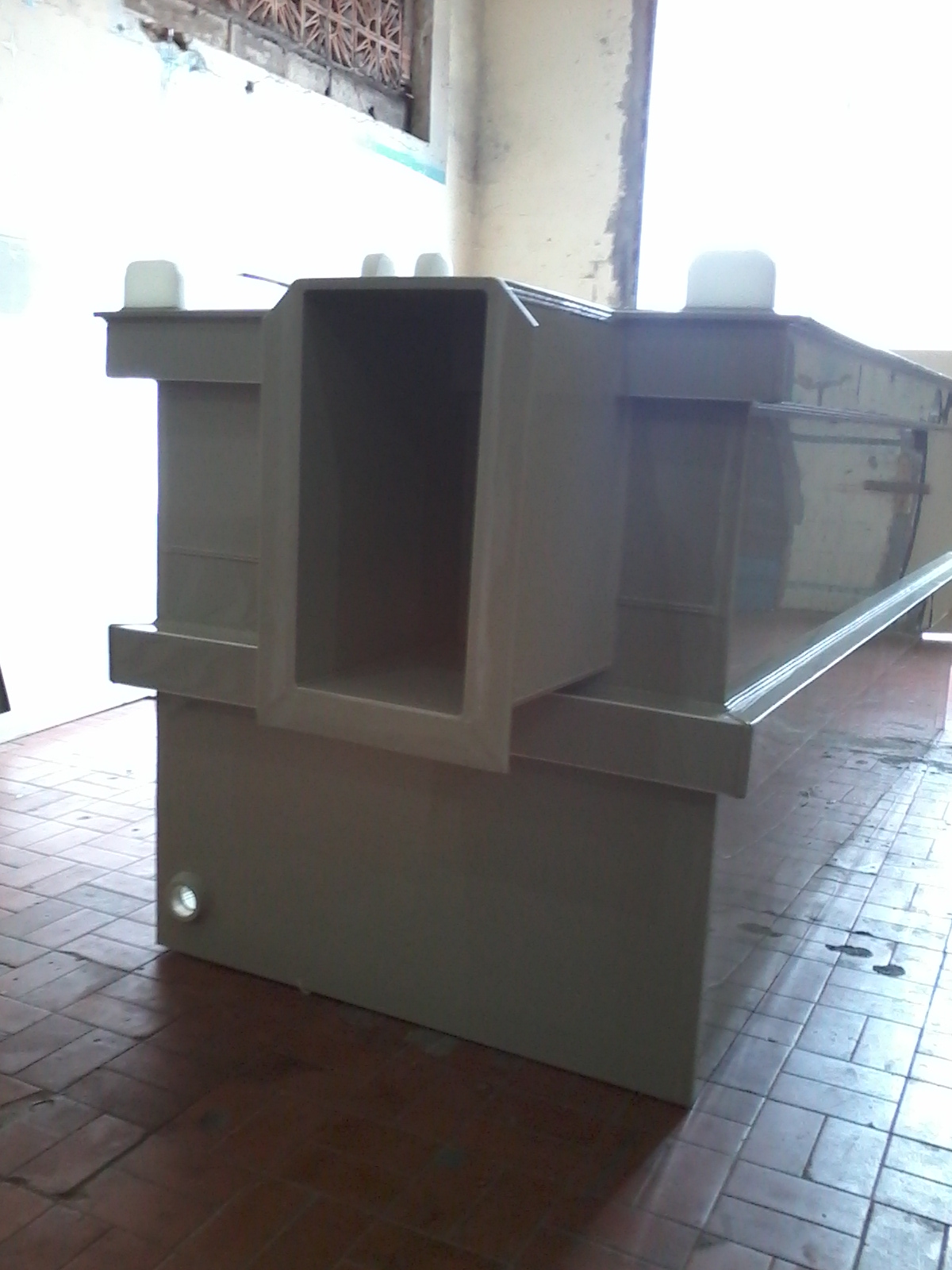 Fotos do Celular 479.jpg