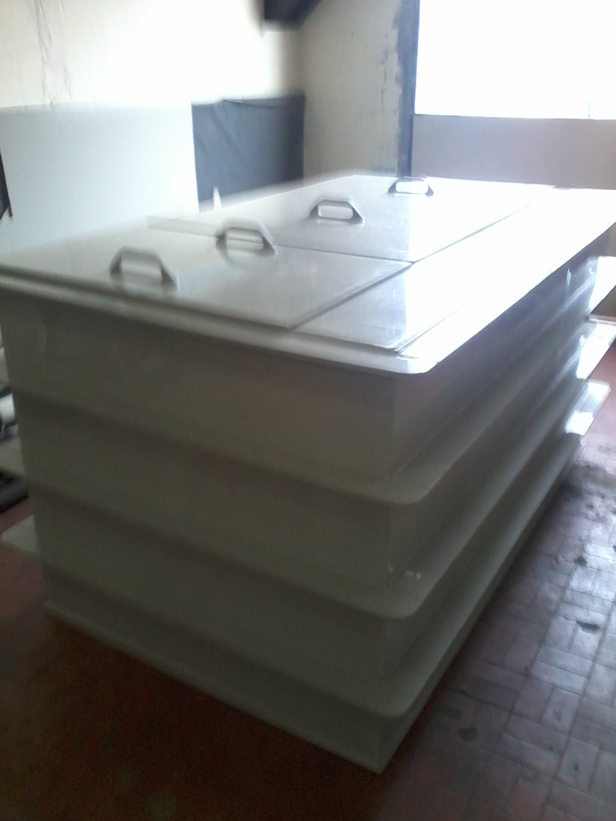 Fotos do Celular 240.jpg